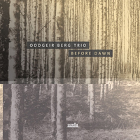 Oddgeir Berg Trio - Before Dawn