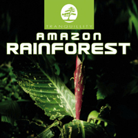 Levantis - Amazon Rainforest (Demo)
