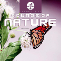 Levantis - Ambient Sounds Of Nature (Demo)