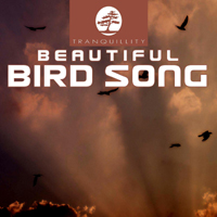 Levantis - Beautiful Birdsong (Demo)