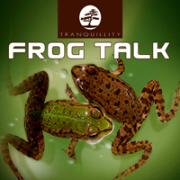 Levantis - Frog Talk (Demo)