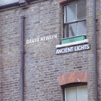 David Newlyn - Ancient Lights