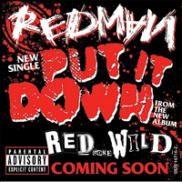 Redman - Put It Down (Promo Single)