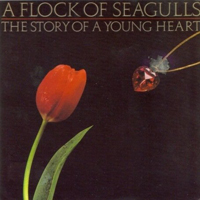 Flock Of Seagulls - The Story of a Young Heart