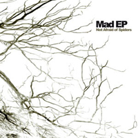 Mad EP - Not Afraid Of Spiders