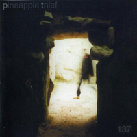 Pineapple Thief - 137