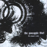 Pineapple Thief - The Dawn Raids (Volume 2)