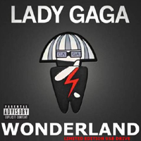Lady GaGa - Wonderland (Limited Edition - USB Drive Version)