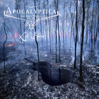 Apocalyptica - Life Burns!