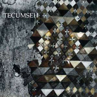 Tecumseh - Avalanche And Inundation