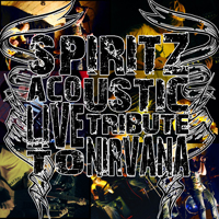 SpiritZ - Acoustic Live Tribute To Nirvana