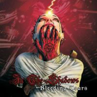 In The Shadows - Bleeding Tears