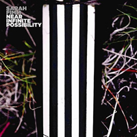 Sarah Fimm - Near Infinite Possibility