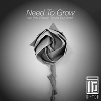 Osunlade - Si Tew feat. Pete Simpson: Need To Grow (Yoruba Soul Mixes - Single)