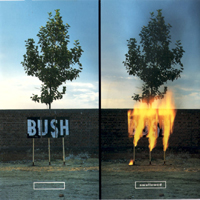 Bush (GBR) - Swallowed (CD 1)
