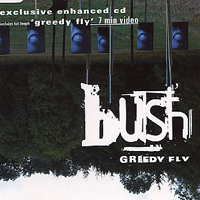 Bush (GBR) - Greedy Fly