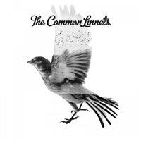 Common Linnets - The Common Linnets