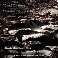 Wind Of Buri - Moments Of Life, Vol. 085: Dark Ambient Mix (CD 2)