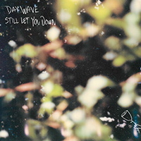 Day Wave - Still Let You Down (Single)