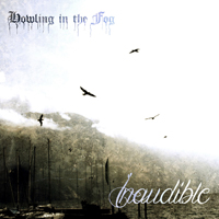 Howling In The Fog - Inaudible