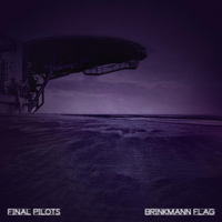 Final Pilots - Brinkmann Flag