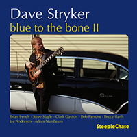Dave Stryker - Blue to the Bone II