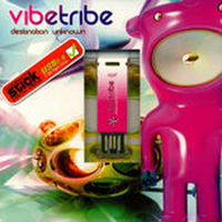 Vibe Tribe - Destination Unknown (Compact Stick)