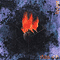 1995 Feuer