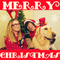 2016 Merry Christmas