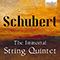 2021 Schubert: The Immortal String Quintet (feat. Brandis Quartet)