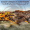 2018 Tornado Valley (feat. Evgeny Lebedev) (Single)