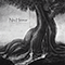 2019 Niu Heimar (feat. Danheim) (Single)