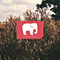 2021 Elephant (EP)