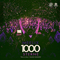 2017 1000 Sterne (Talla 2XLC Rework) (Single)