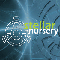 Stellar Nursery - Singularity
