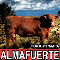Almafuerte - Toro Y Pampa