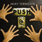2010 Push