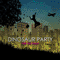 Dinosaur Party - For the Fight