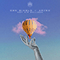 2021 Hot Air Balloon (with AR,CO) (Single)