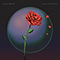 2021 Roses Of Neurosis (EP)