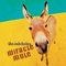 2004 Miracle Mule