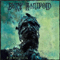 Bury Manifold - At The Bottom Of The Sky