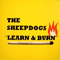 Sheepdogs - Learn & Burn