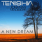 2014 A New Dream (Single) 
