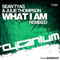 2012 What I am (Remixed) (split)