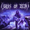 2000 Nocturnal Domain