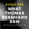2015 What Thomas Bernhard Saw