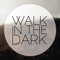 2011 Walk in the Dark (Single)