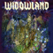 2011 Widowland