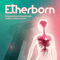2020 Etherborn (Original Game Soundtrack) (by Gabriel Garrido Garcia)